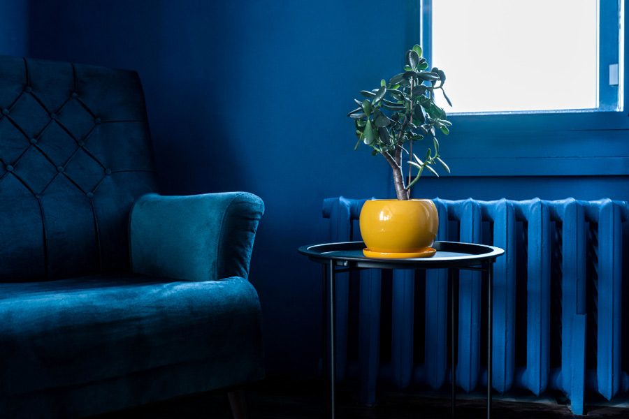 blue sofa